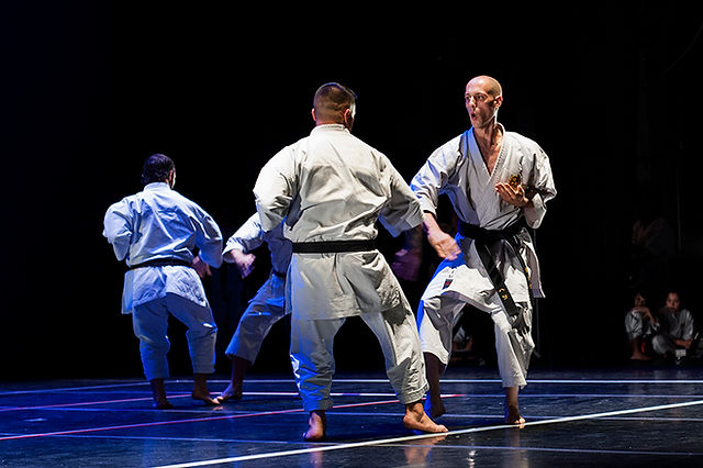 II EXHIBICIÓN DE ARTES MARCIALES