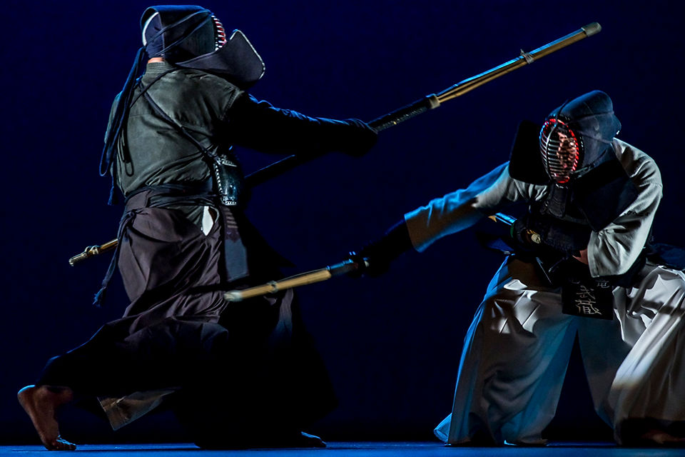 Exhibición de Artes Marciales