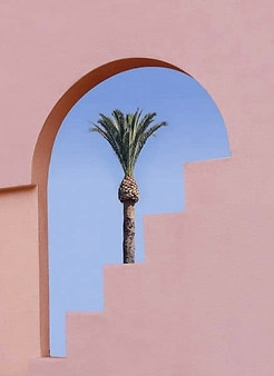 Arche rose et palmier