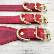 Red leather dog collars with gold buckles and D-rings arranged on a light wooden surface