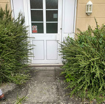 A white door with glass panes is framed by beige walls and overgrown bushes on either side
