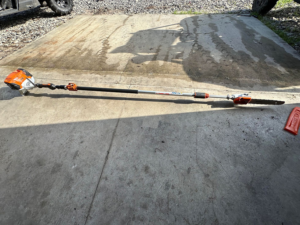 Stihl pole saw