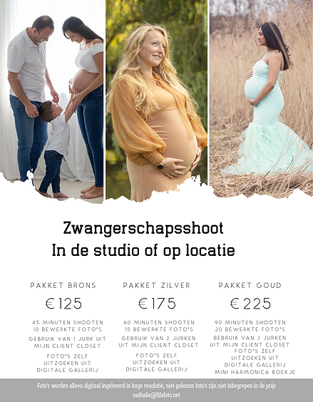 Prijslijst zwangerschap.png