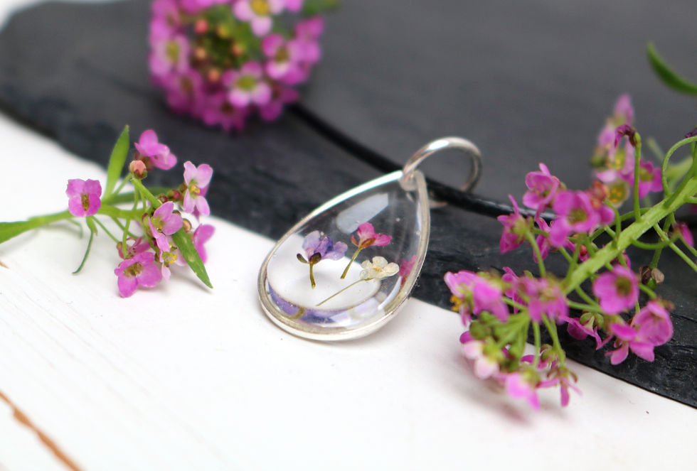 Thumbnail: Black cord teardrop necklace with 3 real alyssum flowers
