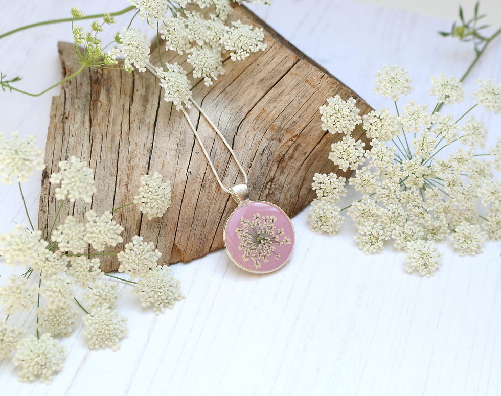 Silver necklace in Dusky pink, with real Queen Anne's Lace flower