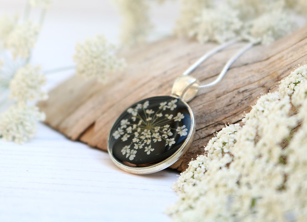 Thumbnail: Silver necklace in Jet black, with real Queen Anne's Lace flower