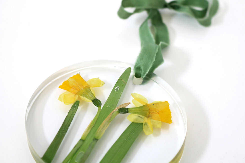Thumbnail: Spring wall hanging tete-a-tete daffodils March Birth flower