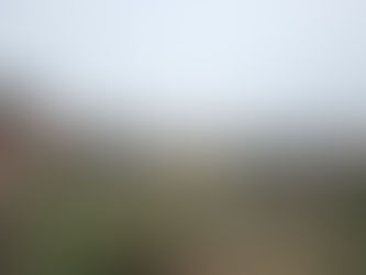 Top 10 Things to Do in Rome