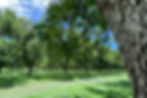 _hd3fdeaf66e6c45a3bd403b7cc84c900d00ac1fa4d.jpg