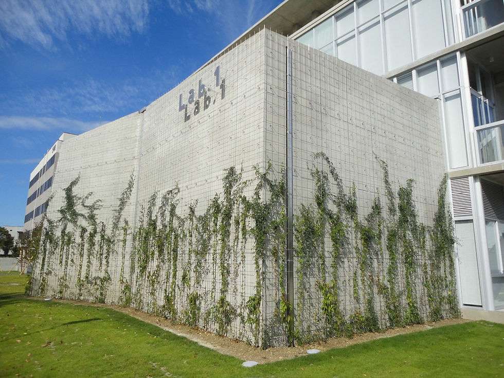 S__7454736_0.jpg