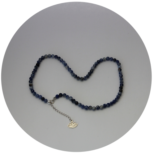 Choker Prata Sodalita
