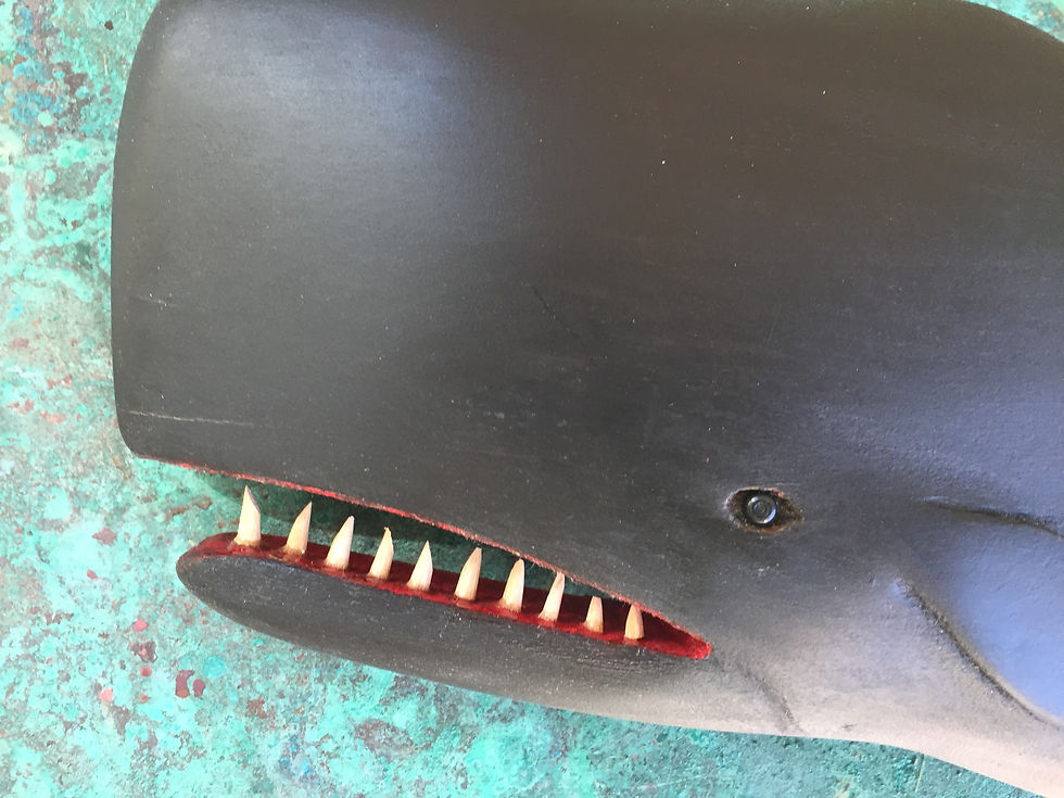 Whale detail