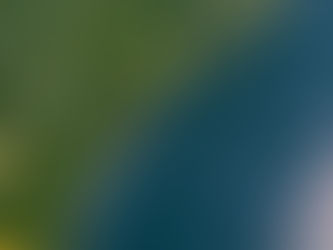 A shoreline full of trees meets blue water