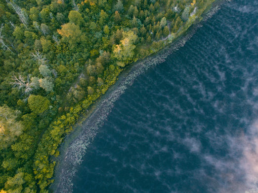 A shoreline full of trees meets blue water