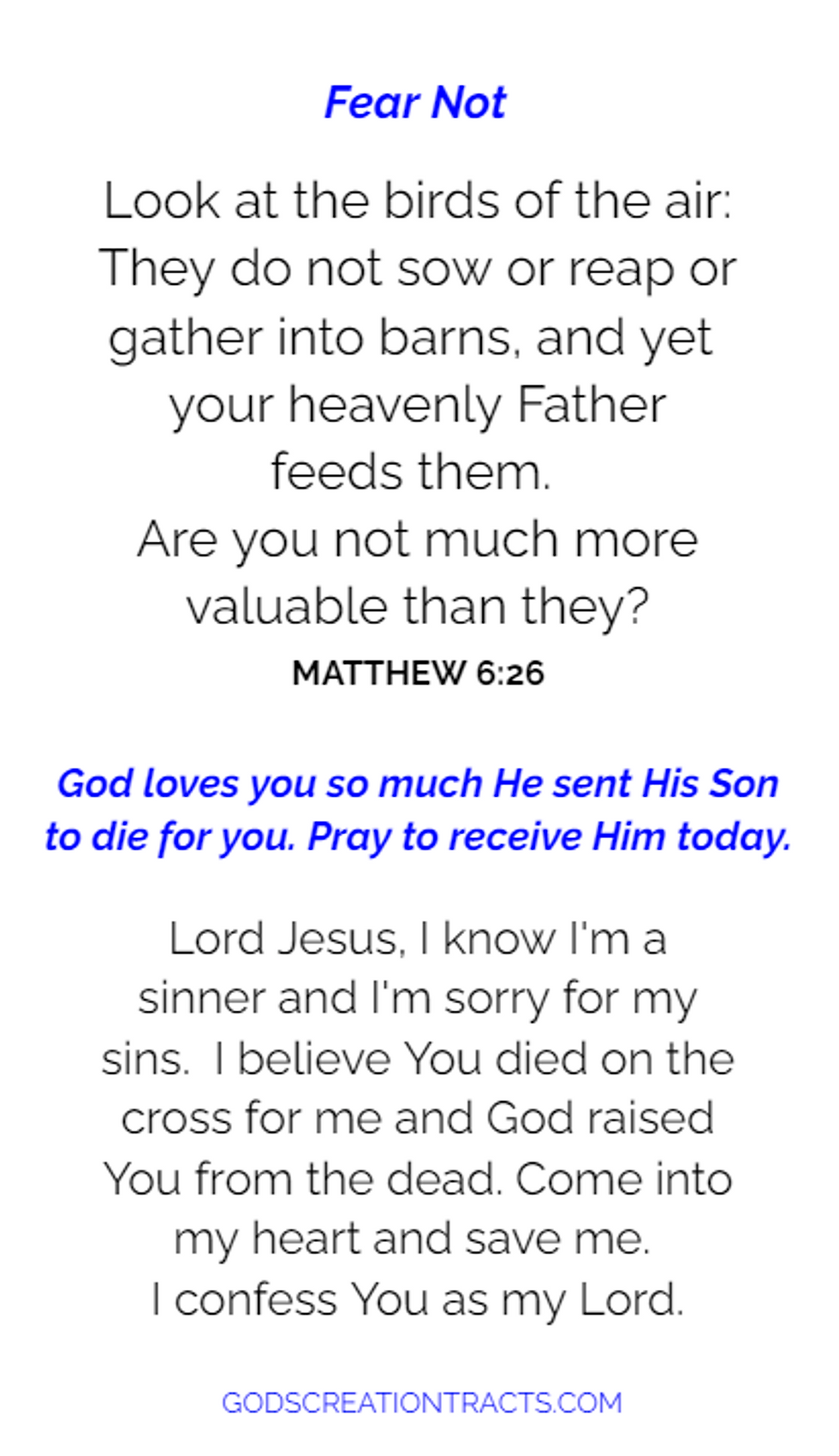 Thumbnail: Fear Not Matthew 6:26 Gospel Tracts - 50 Salvation Cards (2 Packs of 25)