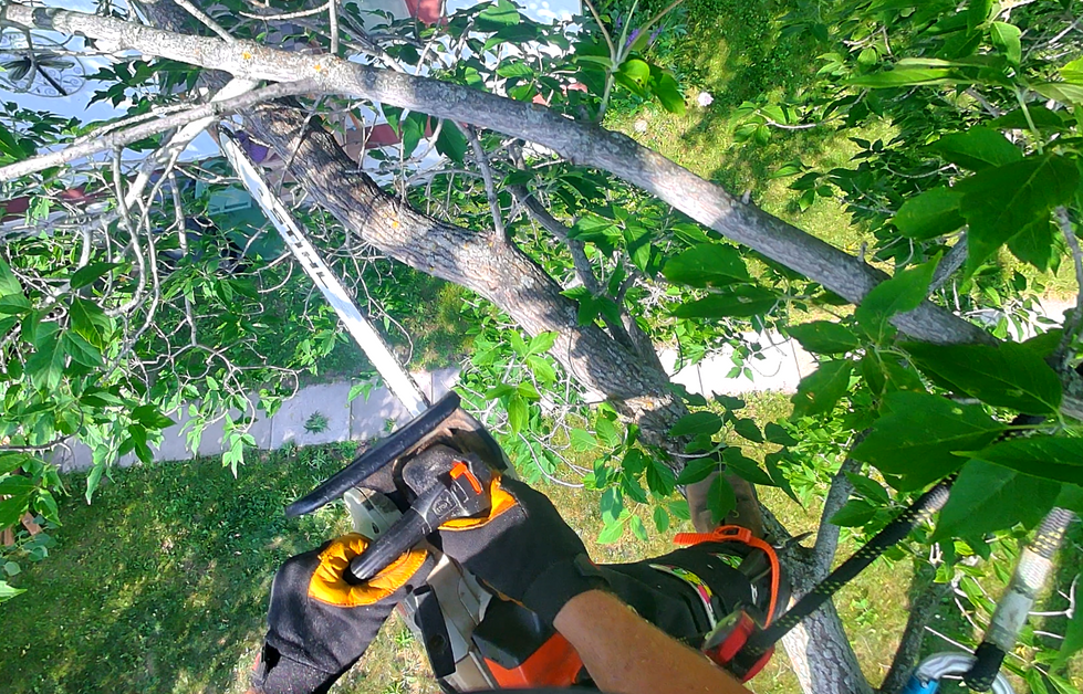 Screenshot 2025-07-28 045612