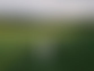 Mehr als nur ein Video: Warum euer Hochzeitsfilm die Seele eurer Erinnerungen bewahrt