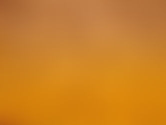 The study showed that soil treated with organic fertilizers retains more carbon!