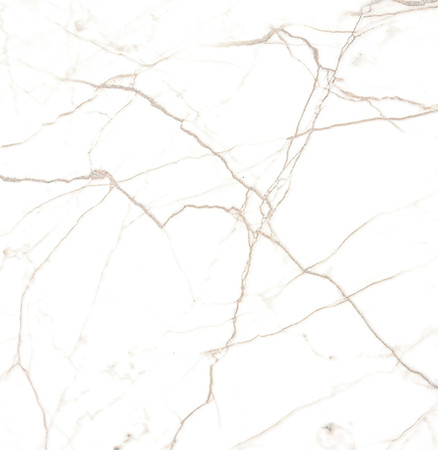 rawpixel-596109-unsplash_edited.jpg