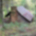 A cabin located at a historical site