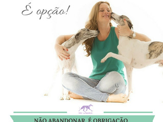 Campanha contra o abandono!