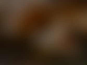 Pussy Willow - Salicin rich flower used for natural pain management