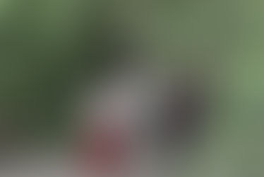 Training of Trainers Workshop on Building Cities' Resilience to Climate Change and Disaster Risks