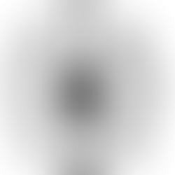 The best shower filter on the market!