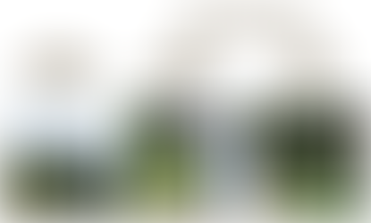 Here come the photos