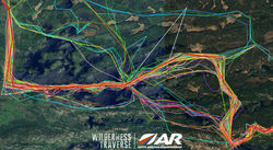 WT Photo Dump_edited