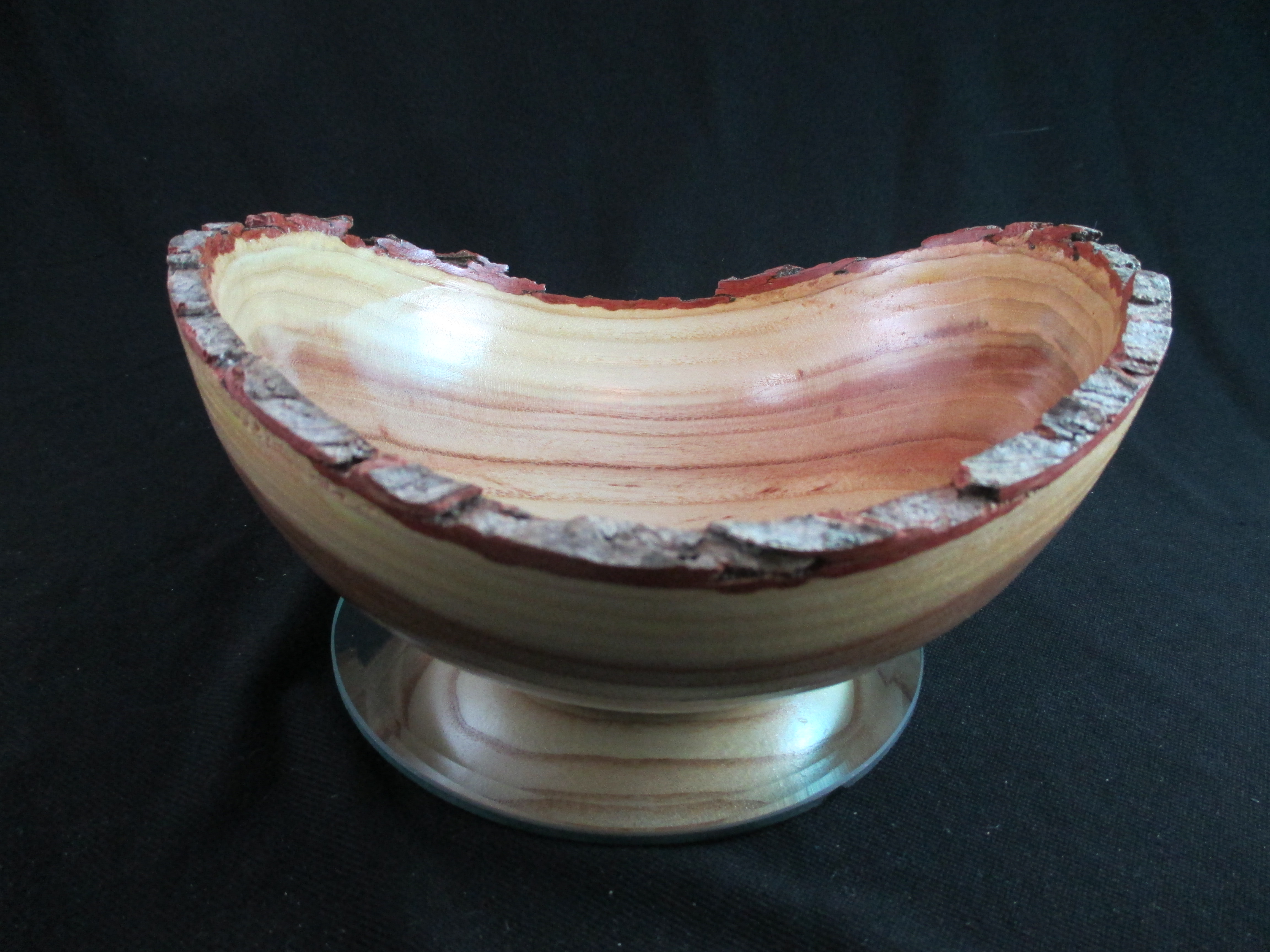 Natural Edge Kentucky Coffeetree