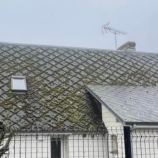 Toiture en ardoise ancienne avec mousse nécessitant un nettoyage et un traitement professionnel