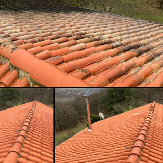 Toiture en tuiles avec traces de mousse nécessitant entretien à Albi