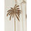 Miniature : Chemise Angelo WILD