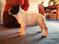 94899734_10157958891385642_7525271895072