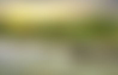 הטיול המושלם לסרי לנקה - חוויות בלתי נשכחות ב-12 ימים עם דודו בן צור