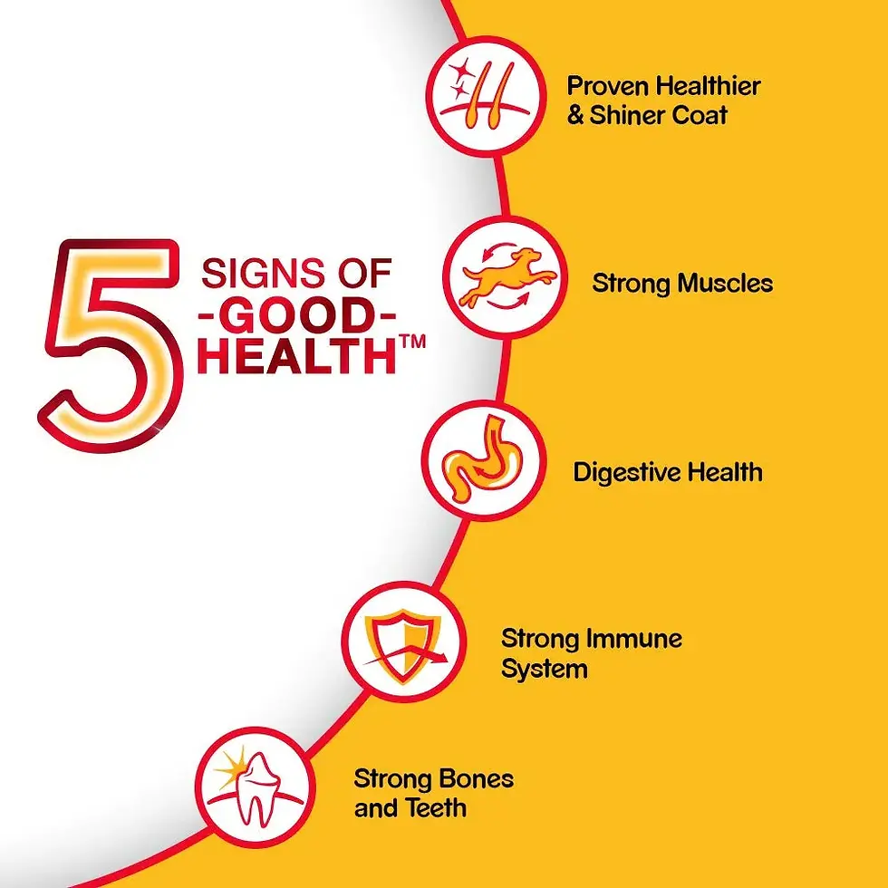 Thumbnail: Pedigree Chicken & Vegetables Adult Dry Dog Food