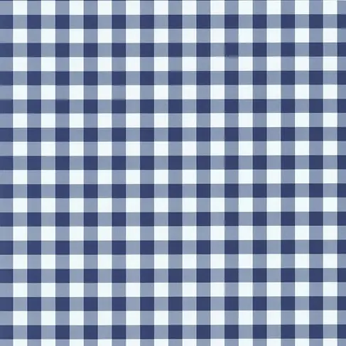 Navy gingham.webp