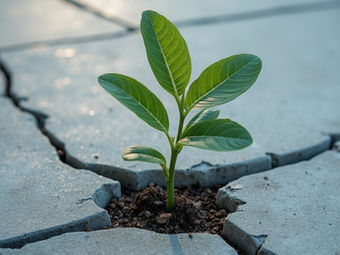 Rethinking Growth at Work: The Case for Strengths-Based Development