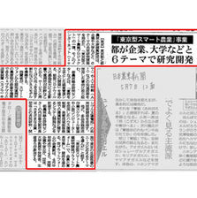 新聞.jpg