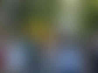 Screenshot_20240125_234127_Telegram