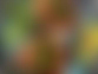 Strawberry, avocado and mint Toast with Crema con Aceto Balsamico