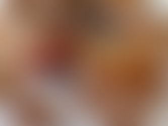 Protein poppy seed muffins with banana&blueberries