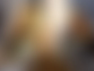 Vegan Tortilla Wrap with Chimichurri