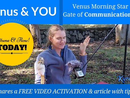Part 4: Venus Morning Star at the 3rd Gate of Communication - Throat Chakra Initiation