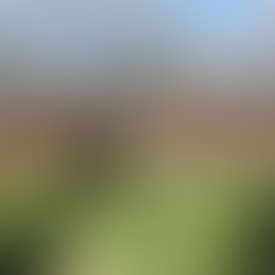 8817 Tree Haven Road | Sardis Forest