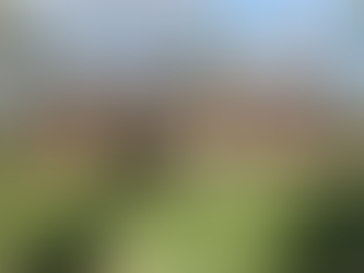 8817 Tree Haven Road | Sardis Forest