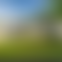 1613 Hamilton Street | Greenville