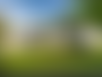 1613 Hamilton Street | Greenville