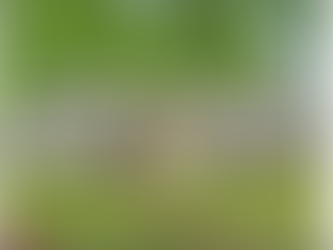 4633 Cringle Court | Wessex Square